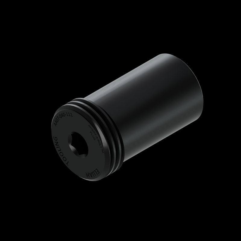 用於 AA02 型 INVERT-A-BOLT™ 扣件的孔塞 (IVB)